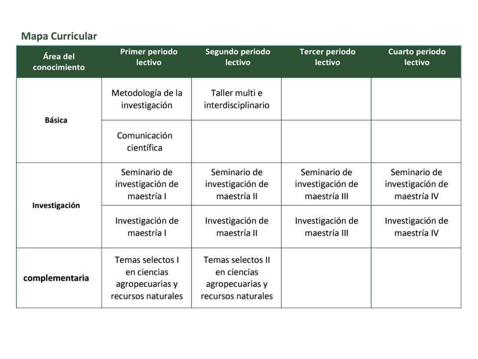 mapa curricular 